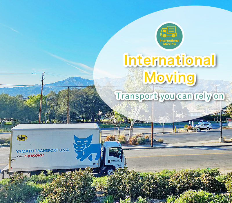 International Moving