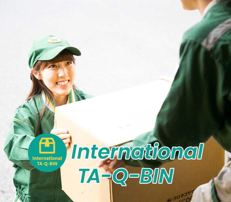 International TA-Q-BIN