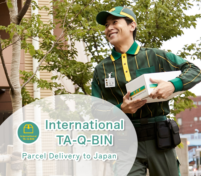 International TA-Q-BIN