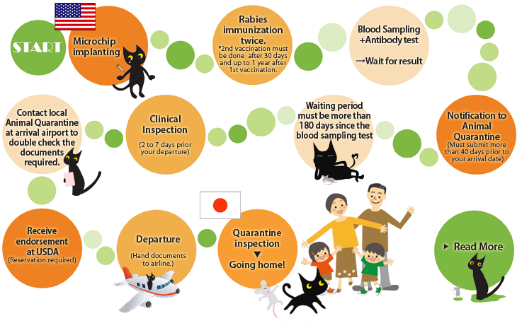 about pet flow about pet flow
